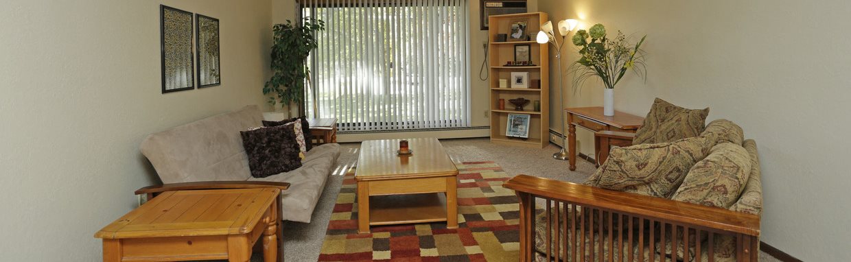 the village apartments forest park living room